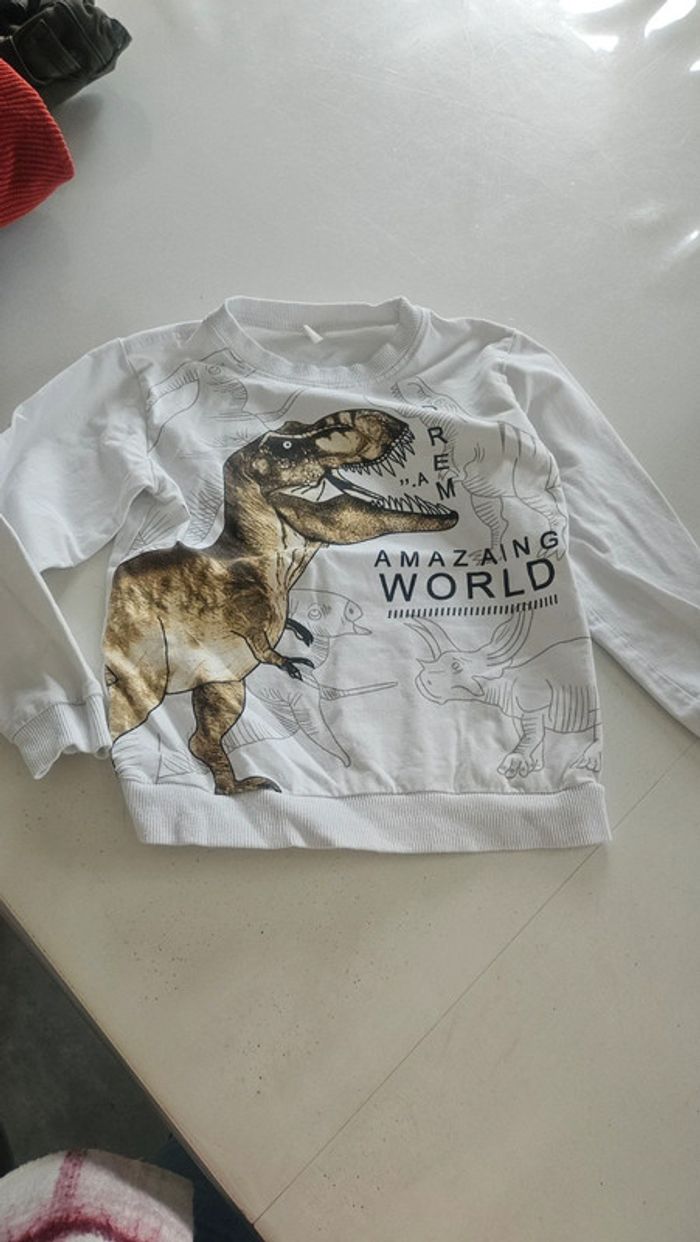 Pull dinosaures garçon