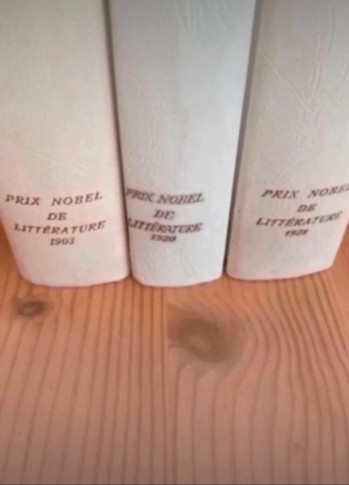 Prix Nobel de littérature Norvégien - photo numéro 3