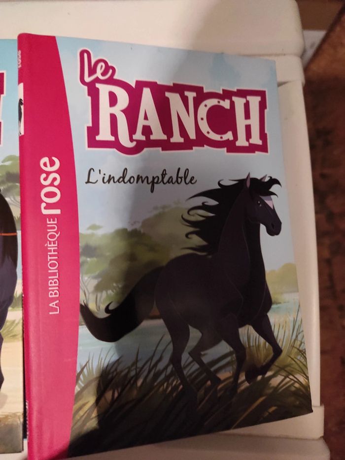 Lot 2 livres le ranch - photo numéro 3