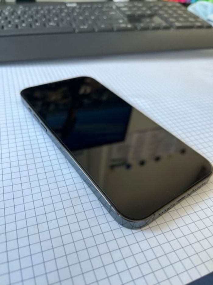 Iphone treize Pro max - photo numéro 4