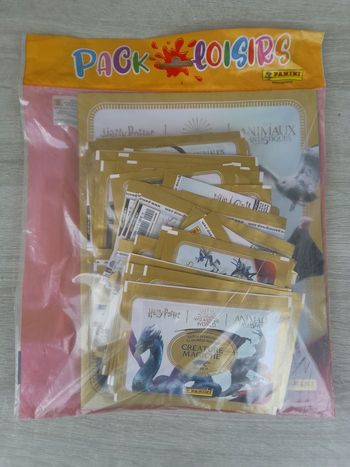 Pack loisirs Harry Potter panini