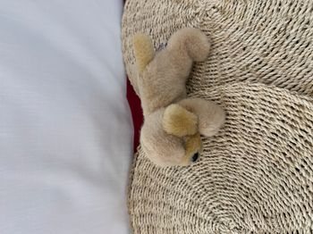 Peluche chiot chien Golden Retriever Labrador gipsy