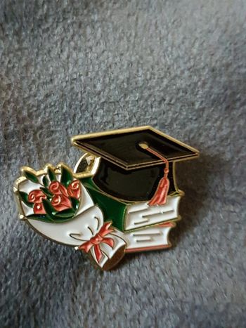 Pin's diplome