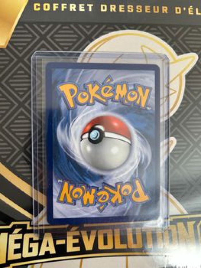 Mega Lucario ex 160 / 132 - photo numéro 2