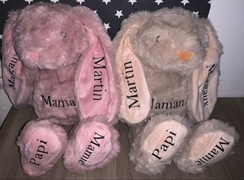 ⭐️Lapin personnalisée ⭐️