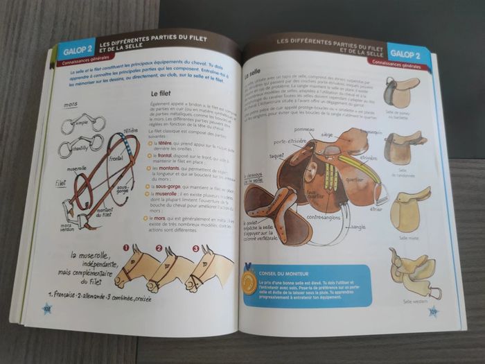 Galops 1 et 2 - photo numéro 4