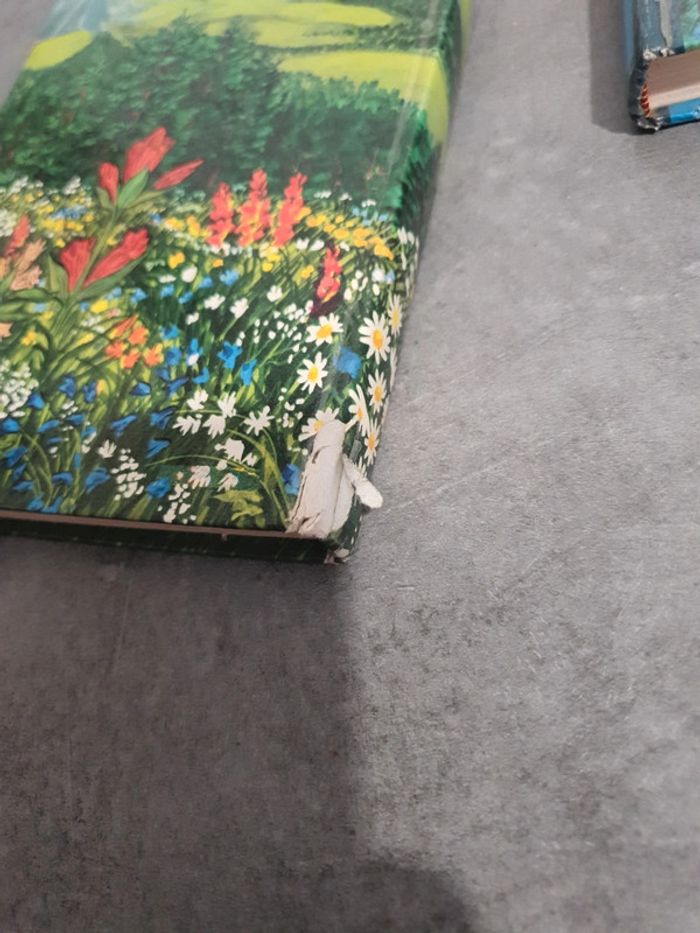 Livre heidi - photo numéro 2