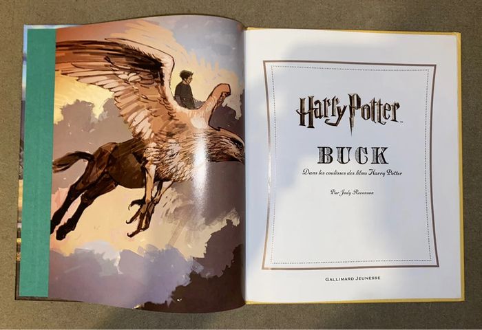 Buck Harry Potter - photo numéro 3