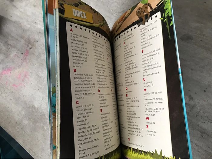 Cahier d’activité livre les super pouvoirs des animaux - photo numéro 5