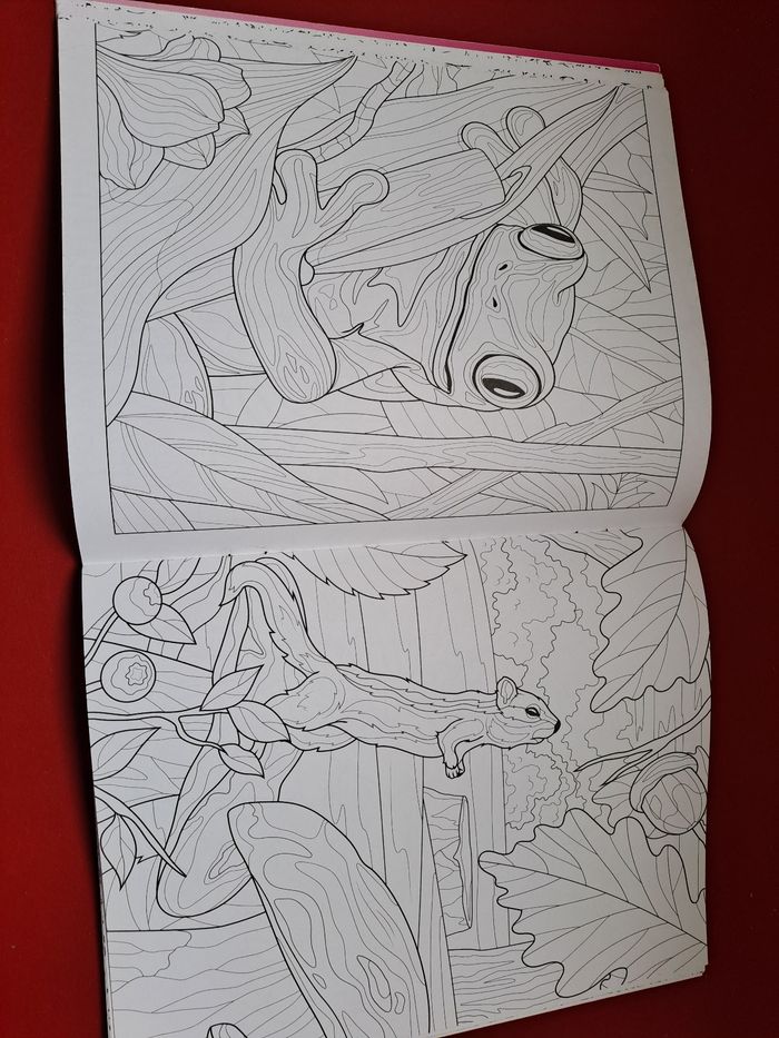 Coloriage détente - photo numéro 5