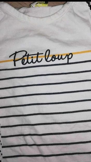 Tee shirt petit  loup  🐺