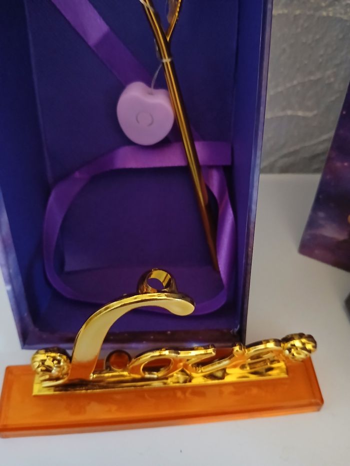 Rose éternel - photo numéro 6