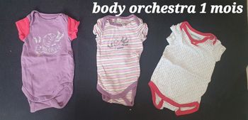 Lot 3 bodies