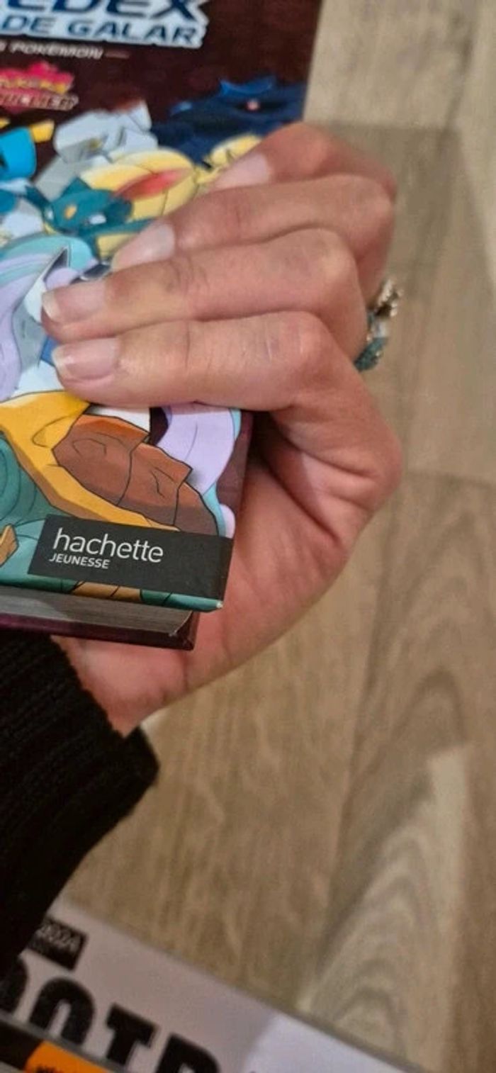 Livre - Pokedex - Région de Galar - photo numéro 10