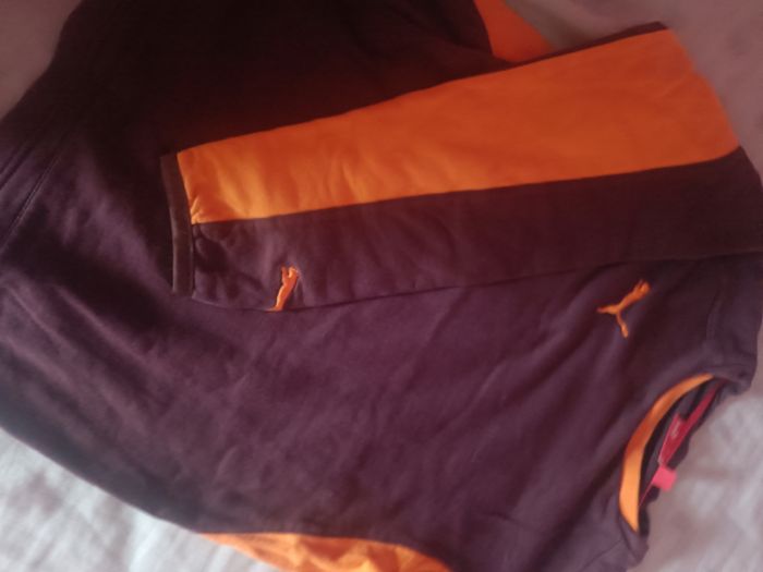 Pull puma - photo numéro 4