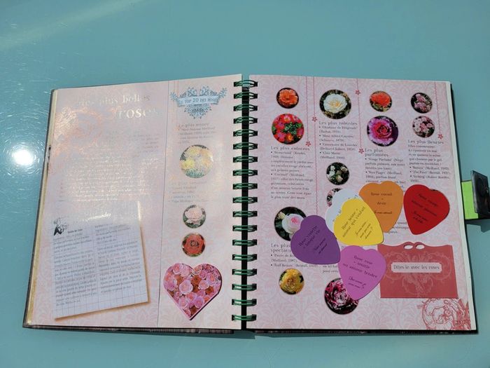 Le Carnet Jardinier, animé, Astuces et Petits secrets à cultiver 🪷 (35) - photo numéro 11