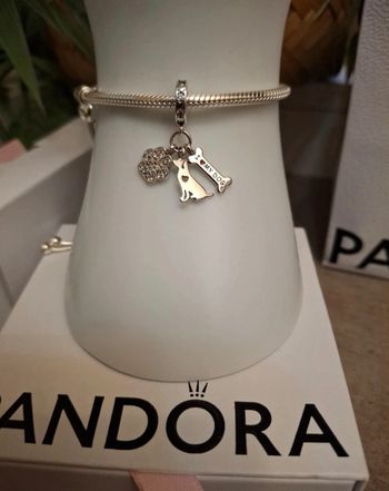 Charm triple pendentifs pour les amoureux de leur chien 