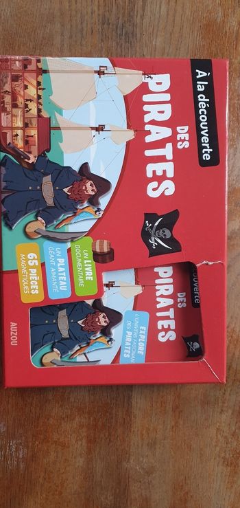 Jeux aimanté pirates