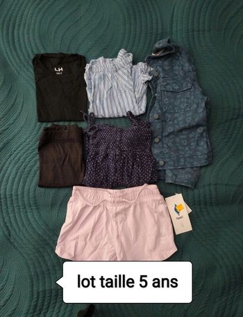 Lot vêtements fille 5 ans