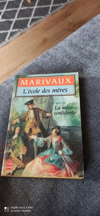 Livre l Ecole Des meres