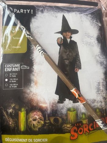 déguisement, sorcier