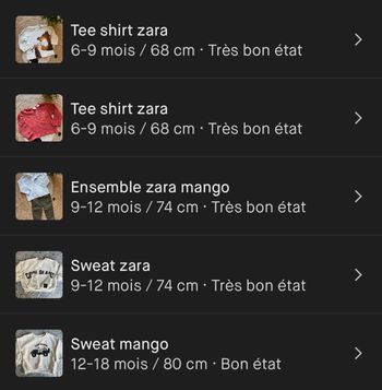 Lot zara mango