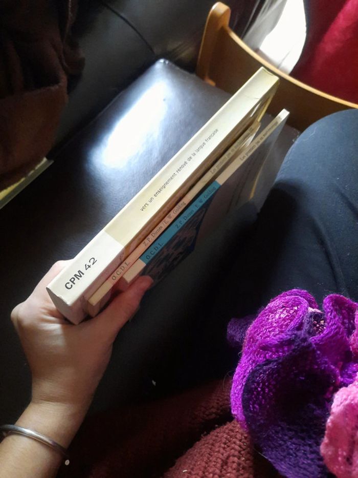 Vers un enseignement rénové de la langue française - photo numéro 8