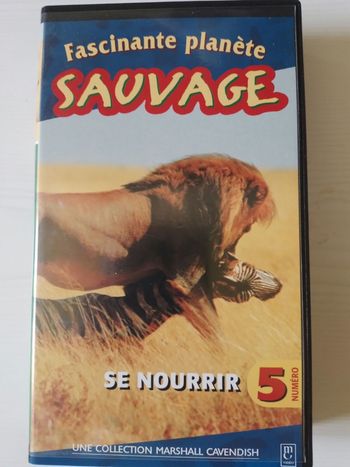 K7 vhs sauvages