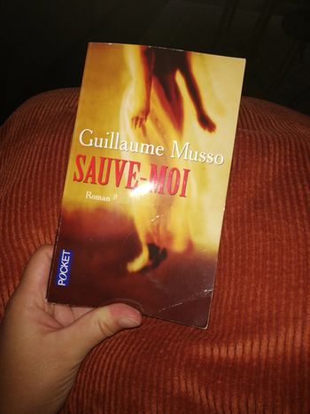 Sauve moi Guillaume musso