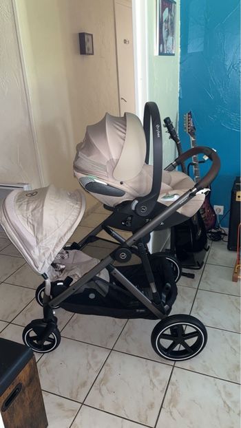 Gazelle s cybex