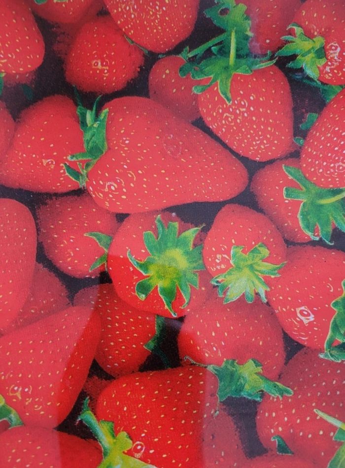 Lot de 2 plateaux motif fraises - photo numéro 2