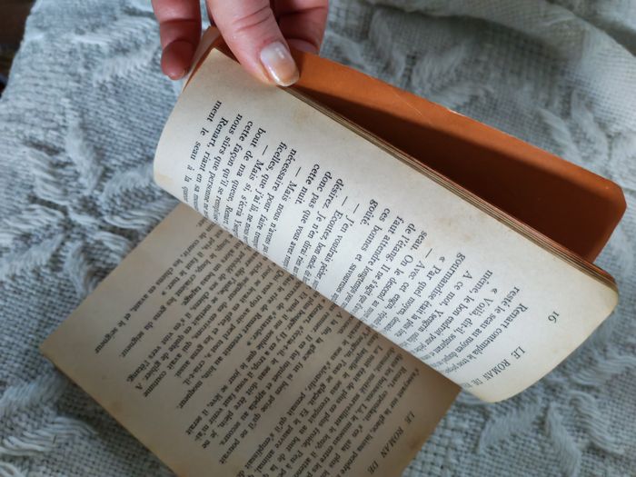 Le Roman de Renart, Bibliothèque Juventa 1969 - photo numéro 2