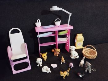 Cabinet vétérinaire Barbie