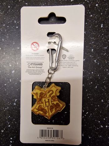 Porte cle harry potter