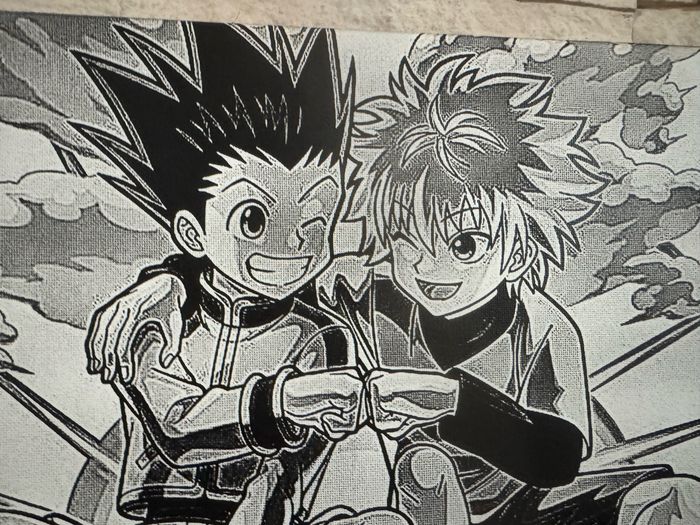 Tableau Gon et Killua du manga Hunter x Hunter - photo numéro 2