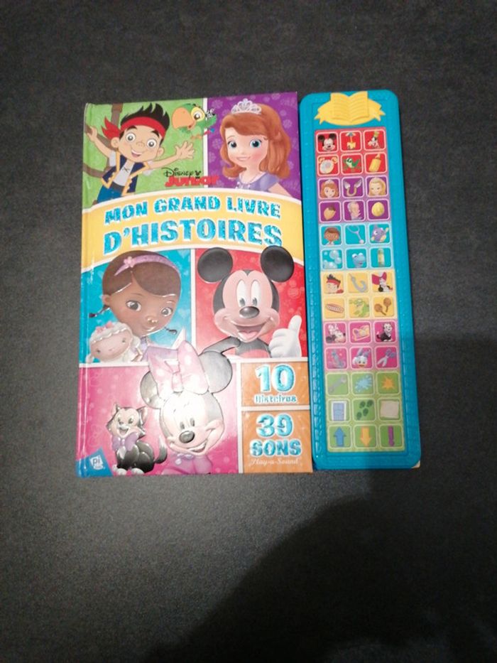 Grand livre 10 histoire Disney