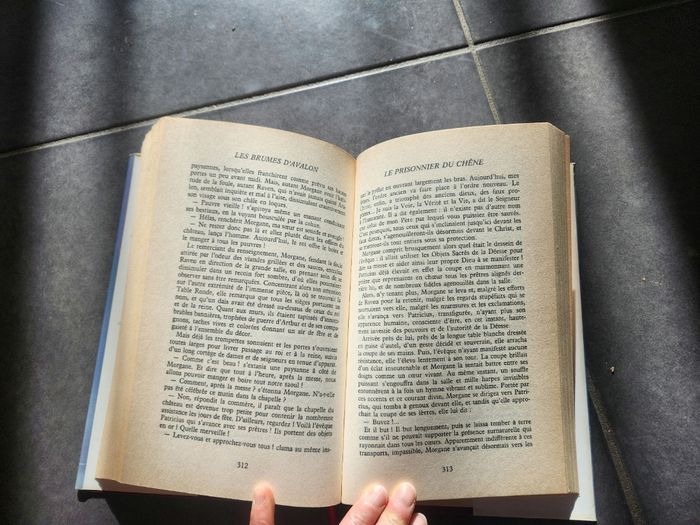 Les brumes d'avalon de Marion Zimmer Bradley - photo numéro 5