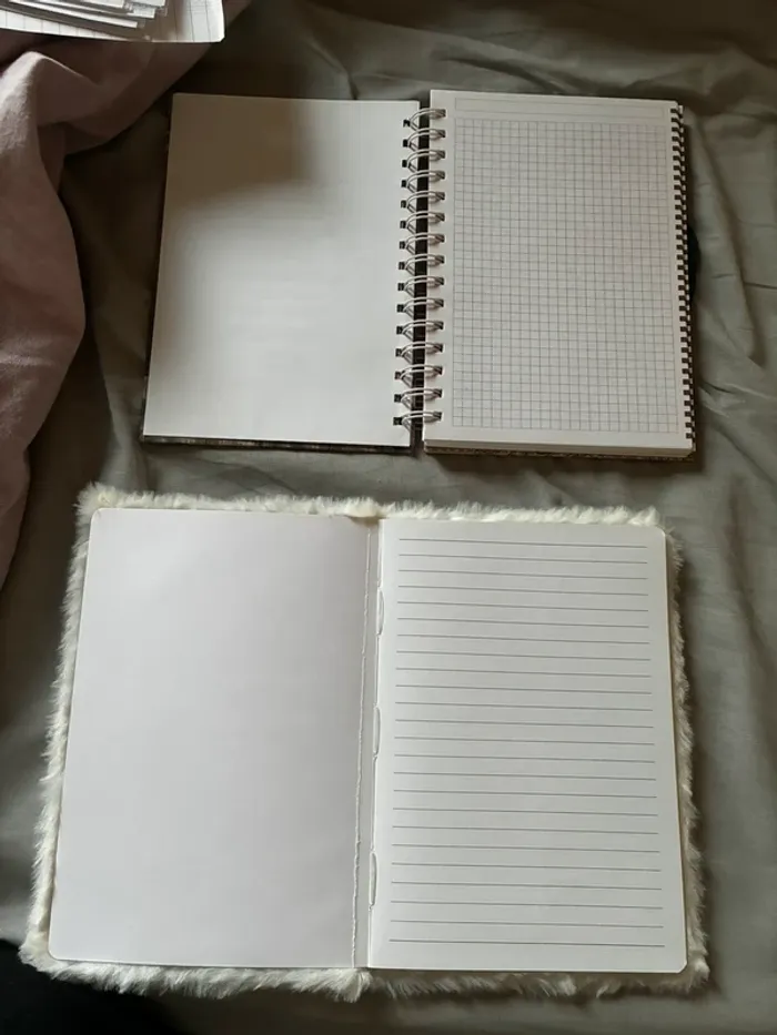 Lot de deux carnets - photo numéro 2
