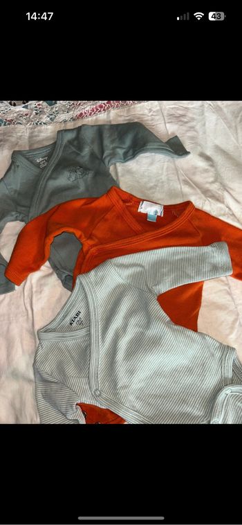 Lot 3 bodies