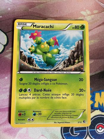 Maracachi mcdonald 2011