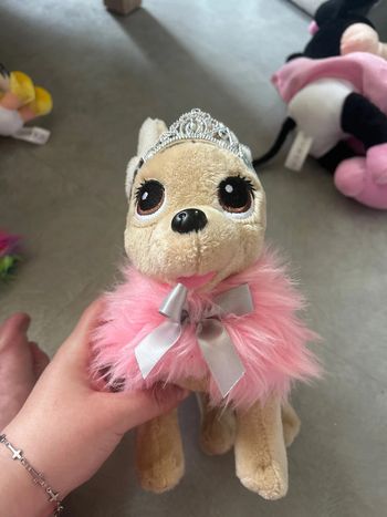 Chien princesse