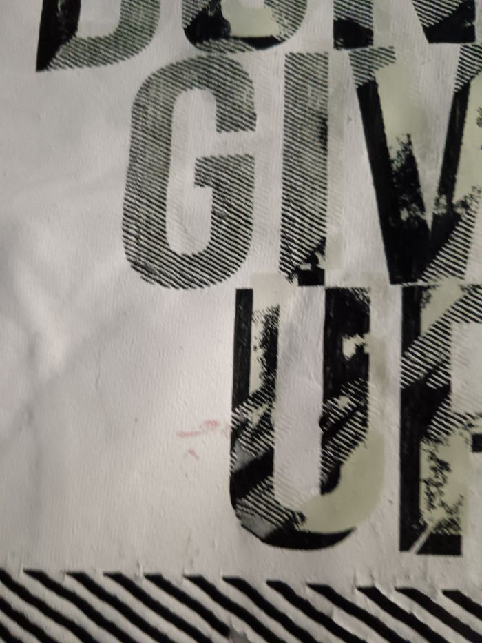 Tee shirt - photo numéro 3