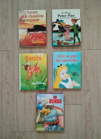 Lot gros livres Disney