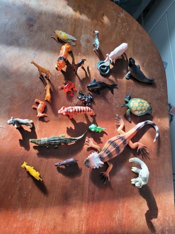 lots de petits animaux  (5e)