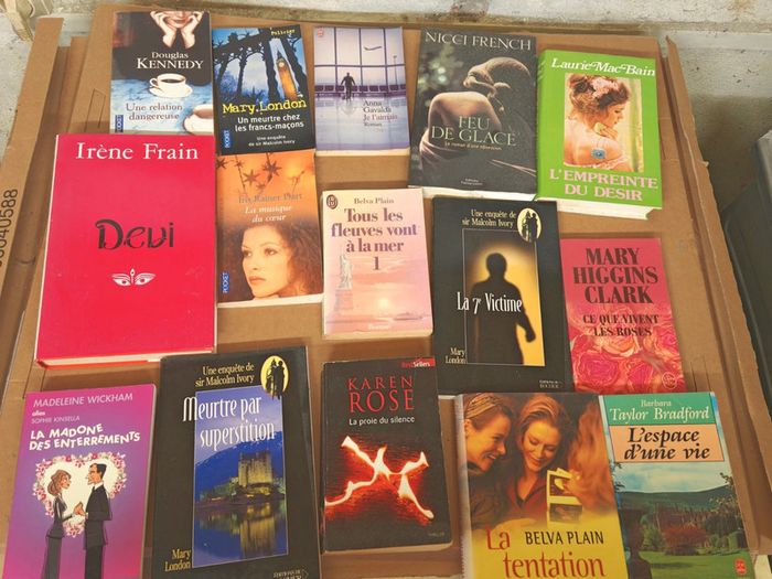 Lot de livres thriller policier roman amour vie