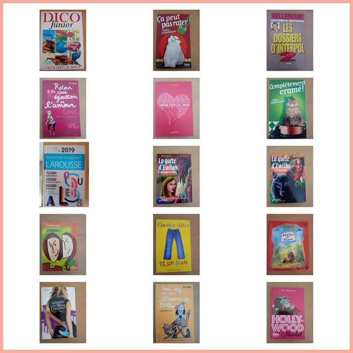 Plus de 200 livres - photo numéro 10