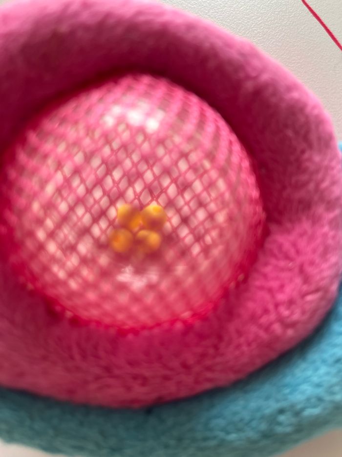 Jouet pour chat - photo numéro 2