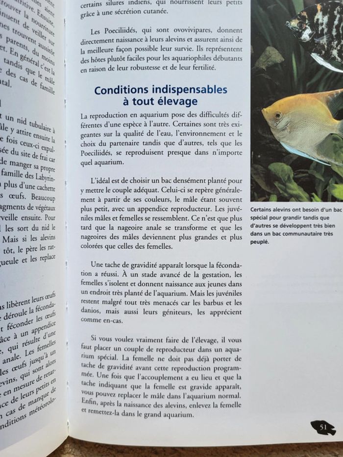 Livre "Aquarium pour débutants" Klaus Paysan - photo numéro 11