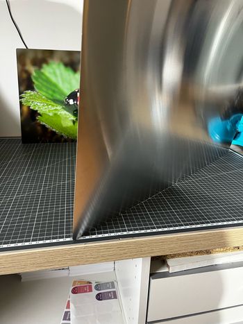 Poster en métal coccinelle