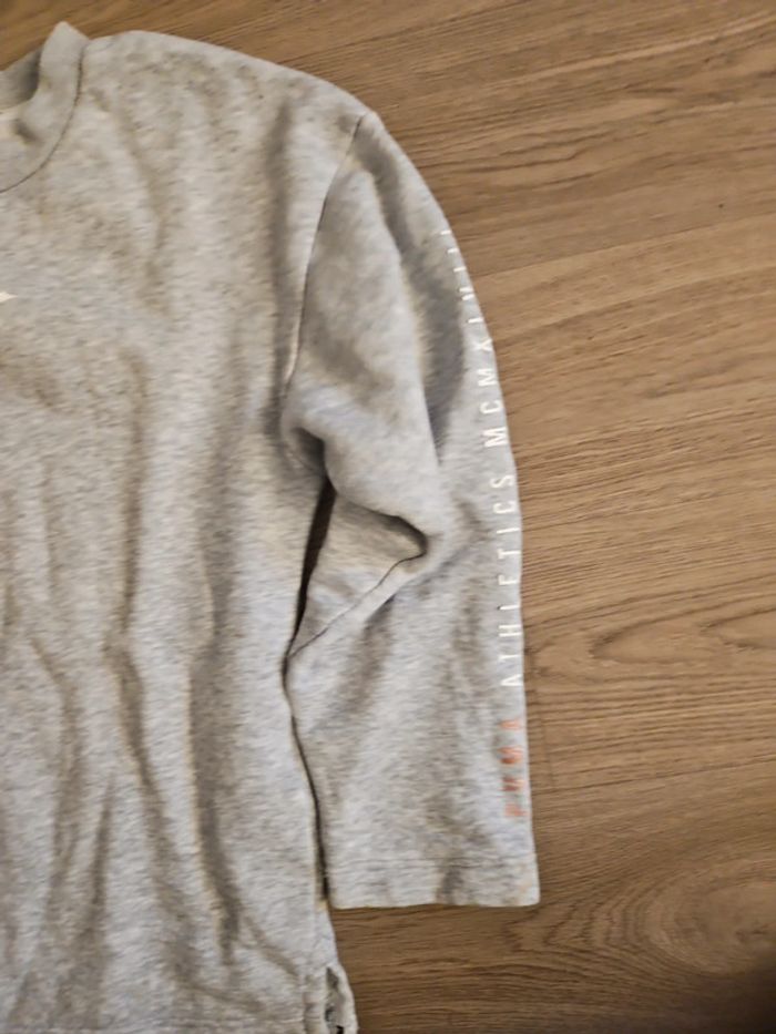 Pull puma - photo numéro 2